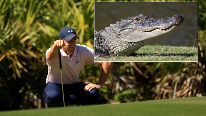 Golfista McIlroy má pro strach uděláno, patoval kousek od aligátora