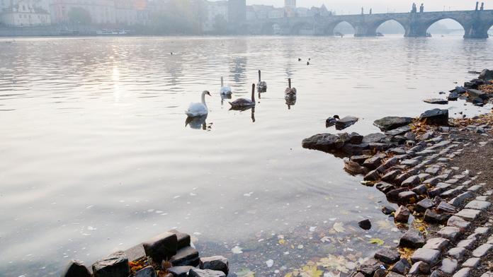 Znečištění řek léčivy po celém světě je alarmující. Podívejte se, jak je na tom Česko