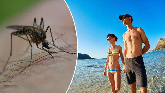 Komáři v Chorvatsku: Místní úřady poslaly vzkaz českým turistům