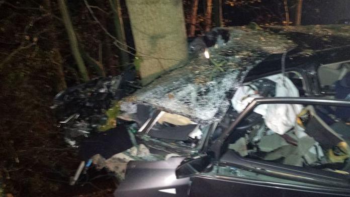 Na auto při nehodě na Vysočině spadl strom. Policisté ho hledali hodinu