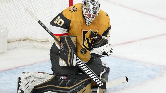 Brankář NHL zažádal o insolvenci. Dluží až miliardu za sbírku exotických hadů