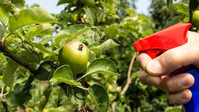 Pesticidy jsou téměř ve všem! V kterých potravinách je jíme nejvíc?