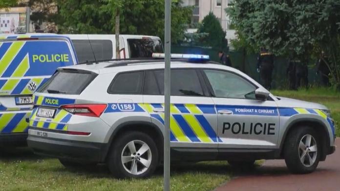 Policejní auto