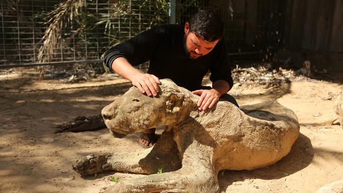 ZOO HRŮZY: Zvířata nechali zemřít hladem a žízní, jsou z nich mumie!