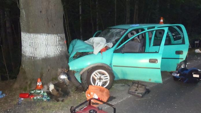 Řidička vezla čtyři děti. Vážně zranění skončili ve stromě