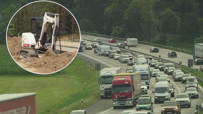 Aktivistické spolky v Česku brání výstavbě dálnic. Nejčastěji Děti Země