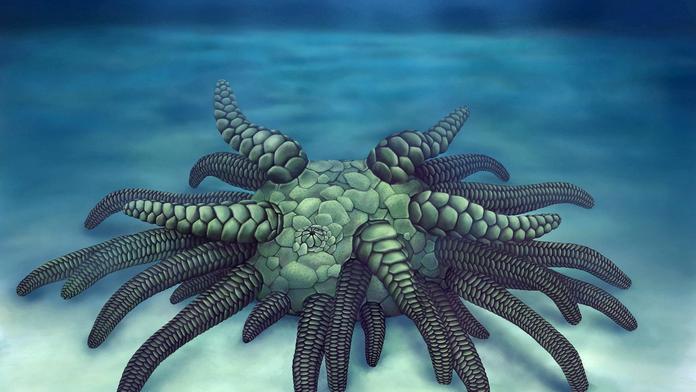 Mýtus ožil! Vědci našli legendární monstrum žijící na dně oceánu