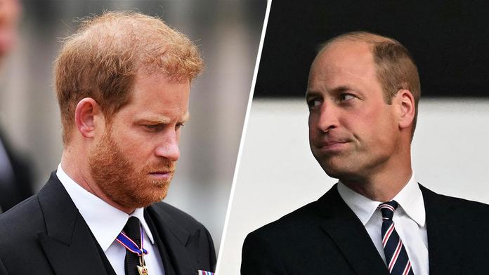 Princ Harry a princ William