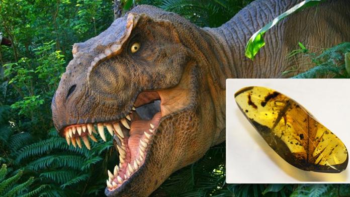 Vědci našli v jantaru dinosauří krev. Bude Jurský park realitou?