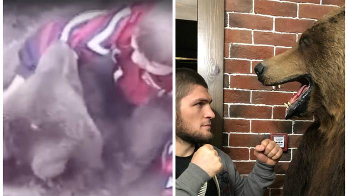 Ochránci zvířat jdou do boje s Chabibem! Vadí jim jeho velká záliba