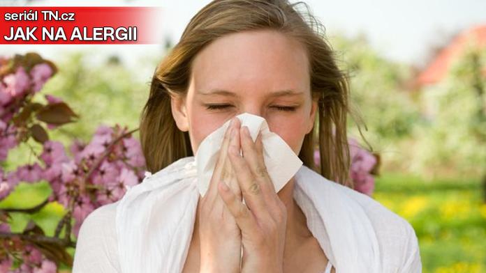Alergie ničí každého čtvrtého Čecha! Čtěte, jak příchod jara prověří naše zdraví