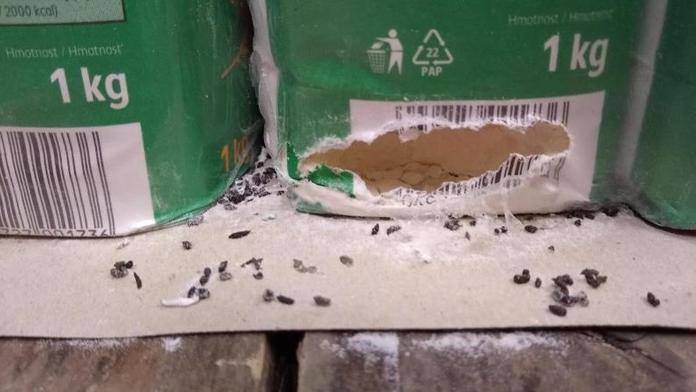 Myší trus i špína. Inspektoři uzavřeli sklad Kauflandu v Chrudimi