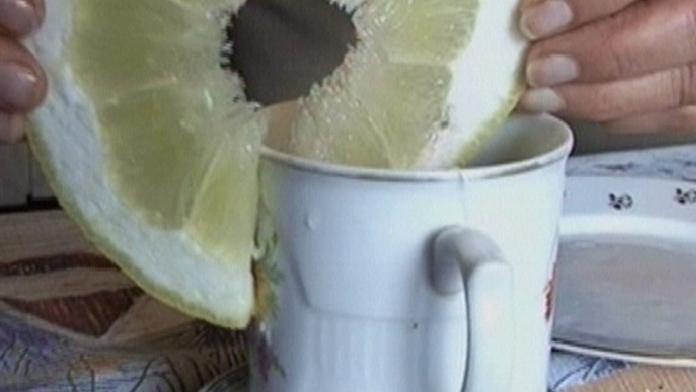 Obří citron z Opočna