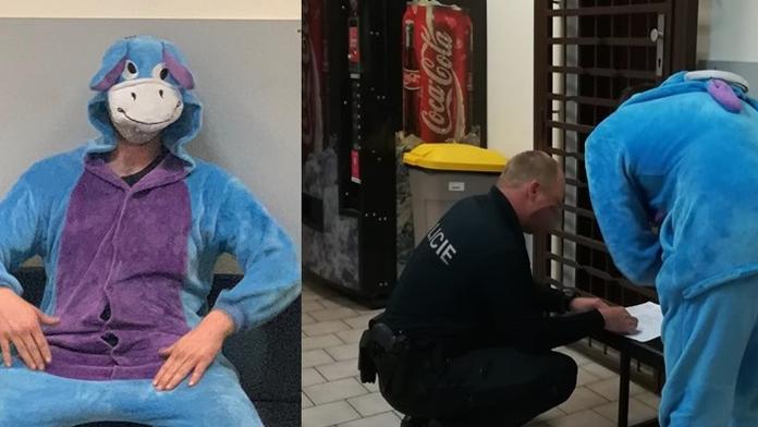 Muž řídil i přes zákaz. Policisté ho načapali v kostýmu oslíka Ijáčka!