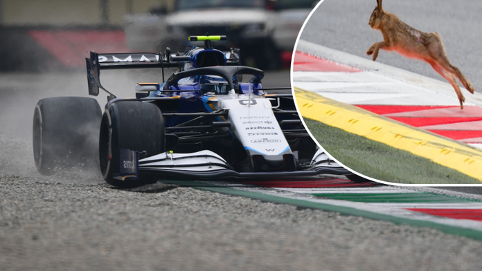 VIDEO: Formuli 1 baví odvážný zajíc. Rozjetému vozu se vyhnul jen o milimetry
