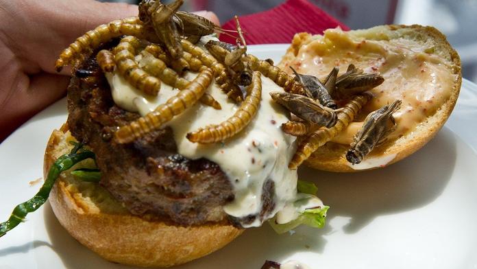 Larvy, cvrčci a sarančata k obědu! V Česku povolili hmyzí menu
