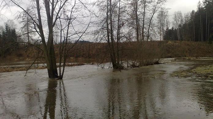 Hladiny řek klesají, na Šumavě hrozí sněhová kalamita. Napadne až 30 centimetrů