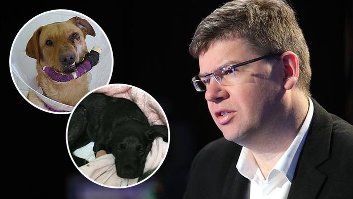Pospíšil o trestech pro tyrany zvířat: "Mají být souzeni natvrdo."