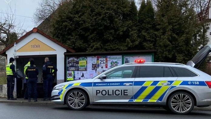 Policejní honička