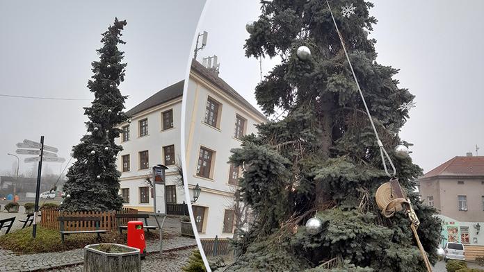 Podívejte se na nejošklivější vánoční strom v republice. Hrůza z jehličí!