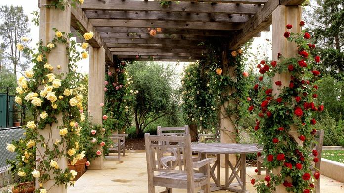 Pergola - kouzelná oáza klidu, která zkrášlí váš dům i zahradu