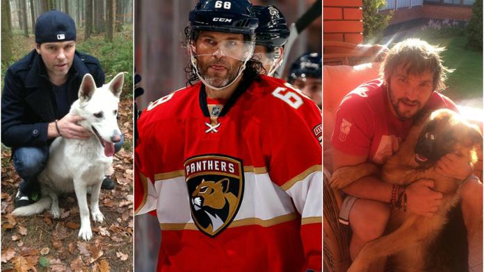 Jaký pán, takový pes? Roztomilí mazlíčci hvězd NHL! GALERIE