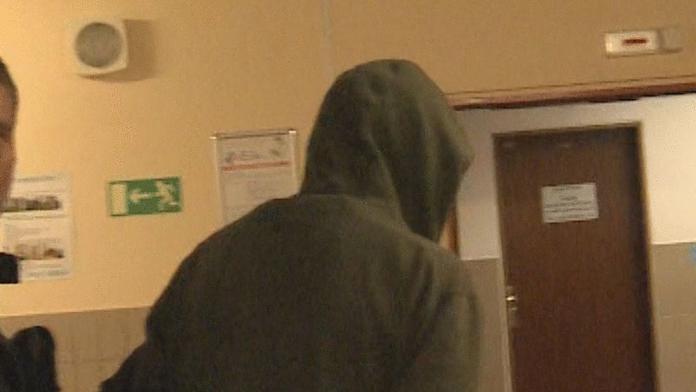 Skončí vrah z Horní Břízy v ústavu nebo ve vězení? ROZDÍLY