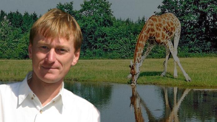 Žirafa Eliška porodí PŘES kopírák 17. 10., je to zkušená matka