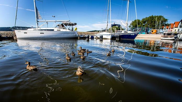 Lipno ožívá a po týdnech uvítá první návštěvníky