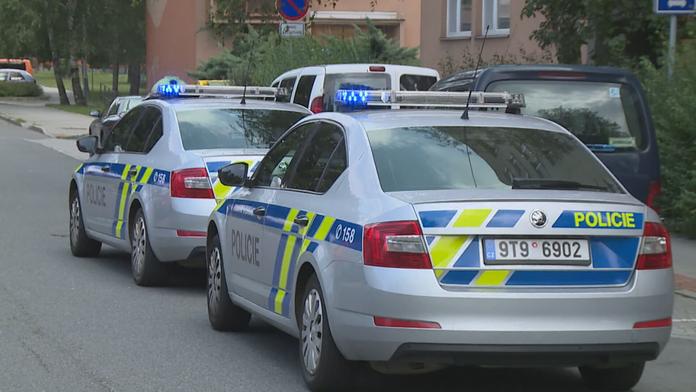 Policejní auta