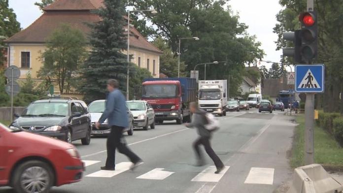 Řidič na přechodu přizabil štěně, místo pomoci jen nadával