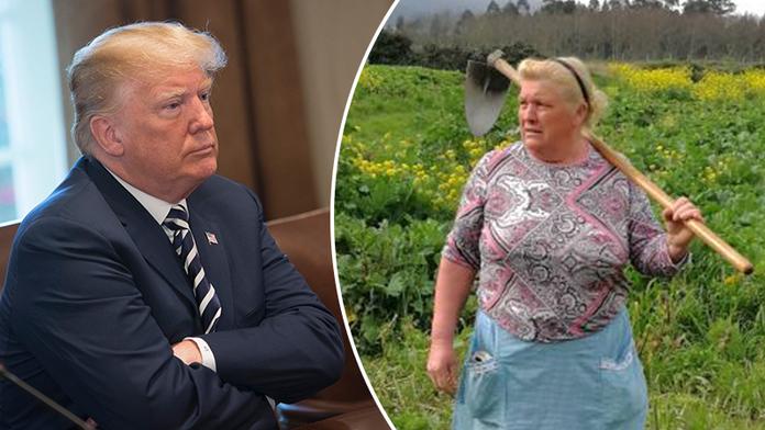 Donald v sukni a s motykou: Seňora Trump okopává brambory