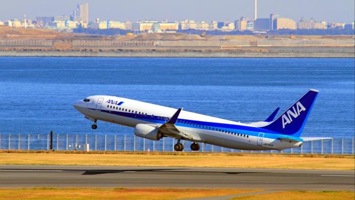Boeing 737-800 japonských aerolinek