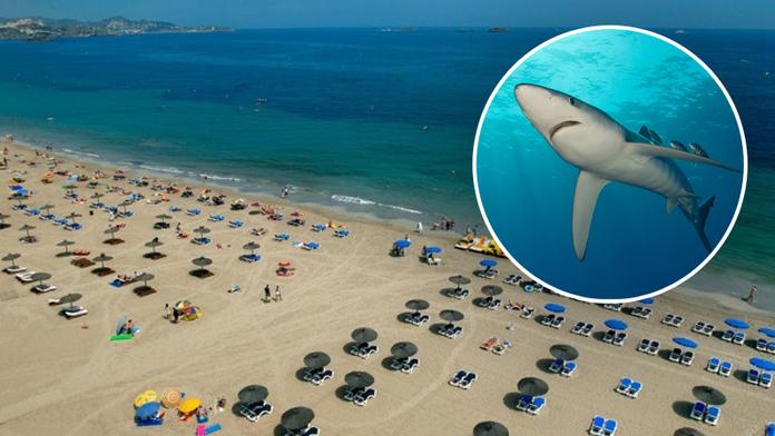 Žralok zaútočil na turistu a kousl ho do ruky! Na ostrov lítají i Češi 