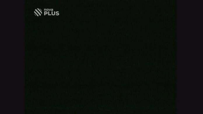 LN: Jak pijí Češi? Každý den do sebe nalijí 7,5 milionu panáků!