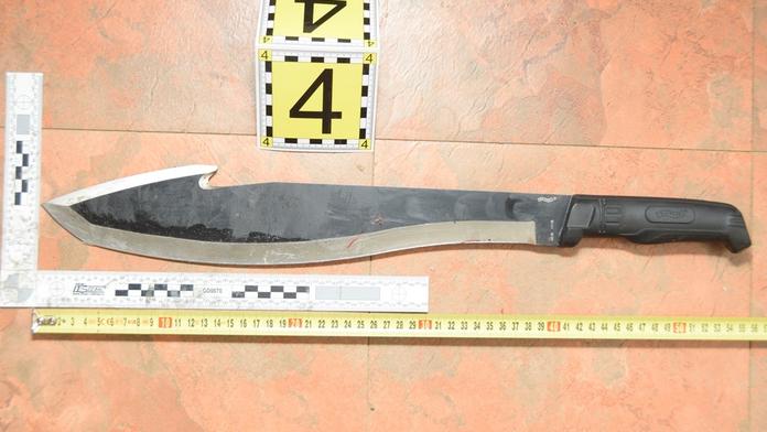 Syn sekal mámu do hlavy mačetou, na pomoc jí přiběhl soused policista