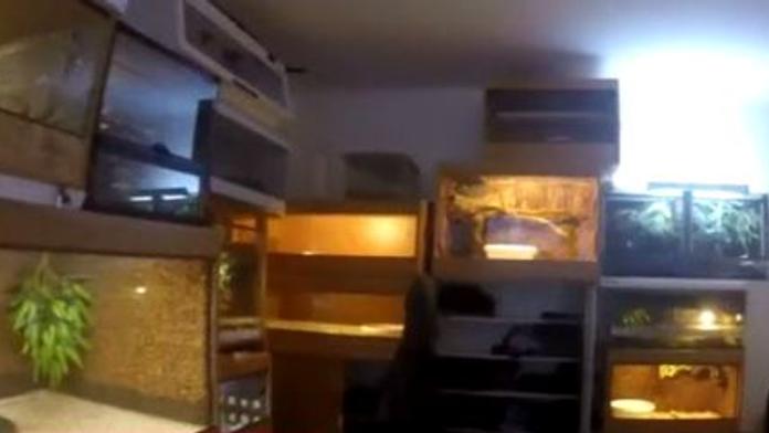 Policie zažila šok při protidrogové razii! Dům byl plný hadů