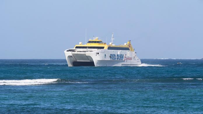 Silná rána a spousta krve: Trajekt s cestujícími u Tenerife narazil do vorvaně