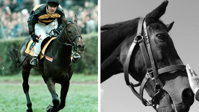 Odešel trojnásobný šampion Velké Pardubické. Bylo mu 29 let
