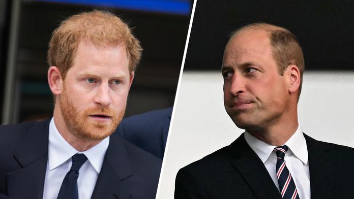 Princ Harry a princ William