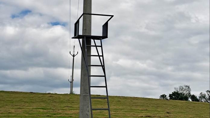Žádné povolení, žádné ohledy. Posed dali přímo na sloup elektrického vedení