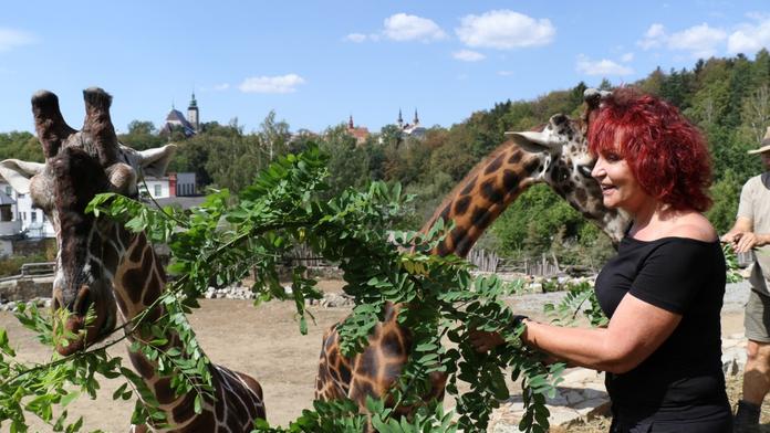 Petra Janů se rozhodla pro adopci! Bude maminkou pandy