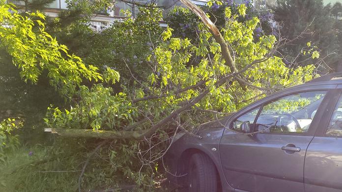 Slovensko trápil silný vítr, tisíce lidí skončily bez elektřiny