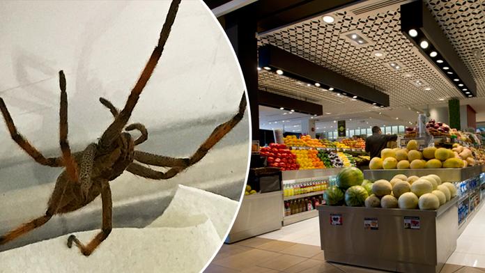 Horor v supermarketu v Praze! Z krabice banánů vylezl obří pavouk