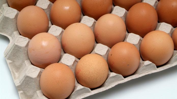Mýty o třídění odpadu: Plato od vajec do papíru rozhodně nepatří!