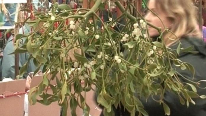 Advent se blíží: města připravují výzdobu
