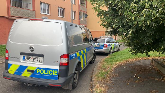 Policie obvinila muže (23) z vraždy starší ženy v Chomutově. Měli spolu bydlet