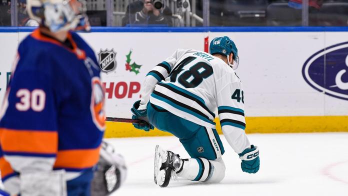 Tomáš Hertl se raduje z vyrovnání