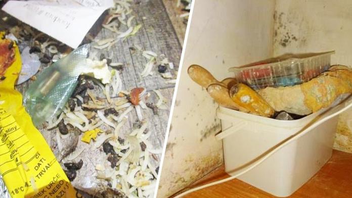 Zavřené restaurace a rychlá občerstvení