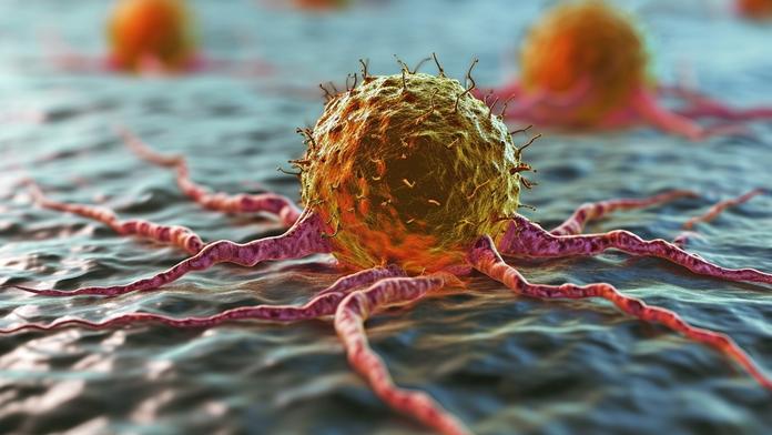Čeští vědci objevili dosud neznámý virus. Je desetkrát větší, než je obvyklé
